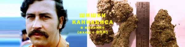 PSILOCYBIN Киреевск