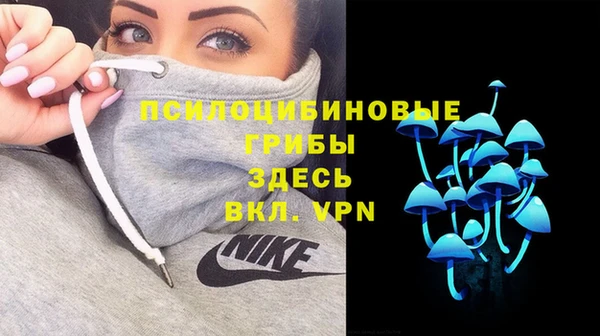 дживик Киренск