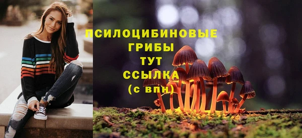 PSILOCYBIN Киреевск