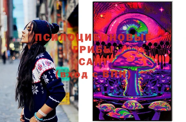 дживик Киренск