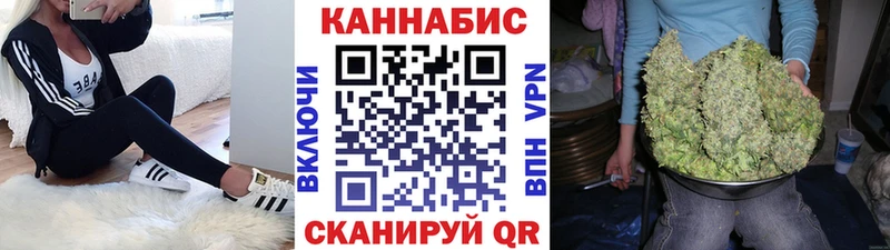 Купить  Сасово  Марихуана SATIVA & INDICA 